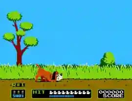 Duck Hunt (World)
