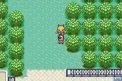 Pokemon Quetzal Alpha 0.6.4