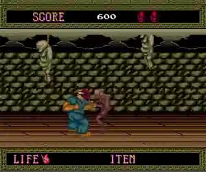 Splatterhouse (USA)